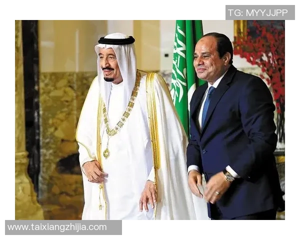 埃及与沙特阿拉伯精彩对决直播全程回顾与分析