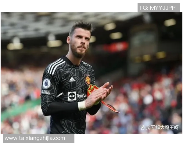 德赫亚神勇表现助曼联战胜埃弗顿决胜时刻展现门将风采