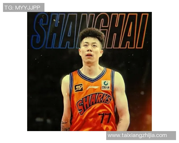 张镇麟：从篮球新星到国家队核心的成长之路与奋斗历程