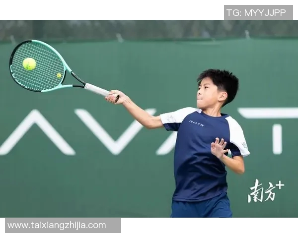 南京网球队的技术揭秘：网球巨献带你领略竞技魅力与训练奥秘