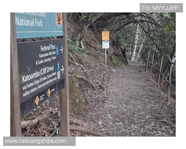 杭州极限运动队灵活性表现的数据分析与提升策略探讨MBA