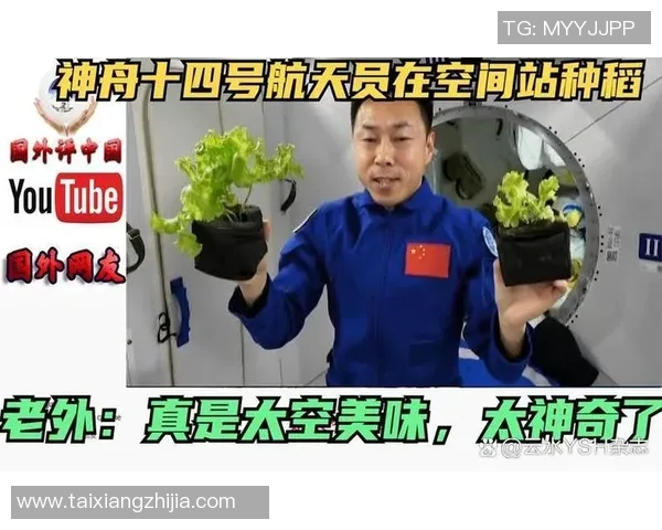 朱荣振的传奇人生与事业成就探索之旅