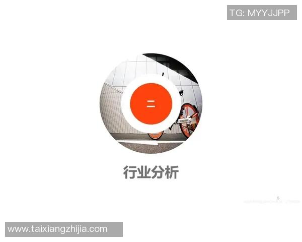 杭州乒乓球队运营分析：成功经验与不足之处的深度探讨