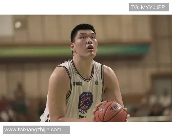 王哲林的篮球之路：从青年才俊到CBA明星的成长历程与未来展望