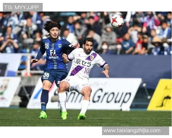 福冈黄蜂对阵金泽精彩直播全程回顾与赛后分析