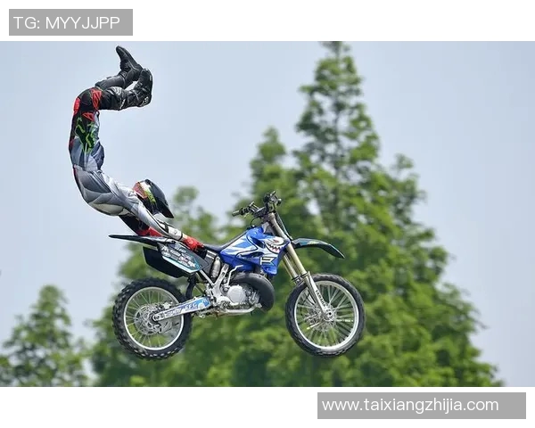 北京极限运动队的管理与发展现状分析及未来趋势探讨MBA