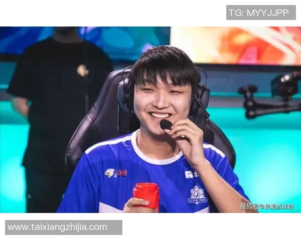 王者荣耀深度解析：BLG战队默契配合与战术布局全景剖析