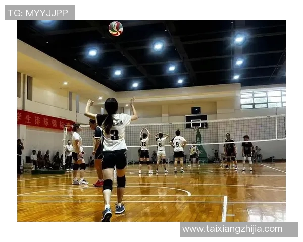 上海排球队团队协作能力显著提升创新高引领全国排球发展新趋势