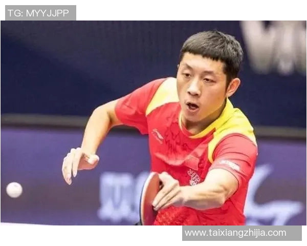 南京乒乓球队速度表现数据分析与训练策略探讨