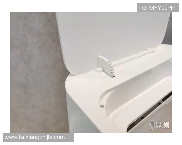 深度对话：探索杨娜在篮球场上的奋斗与成长之路